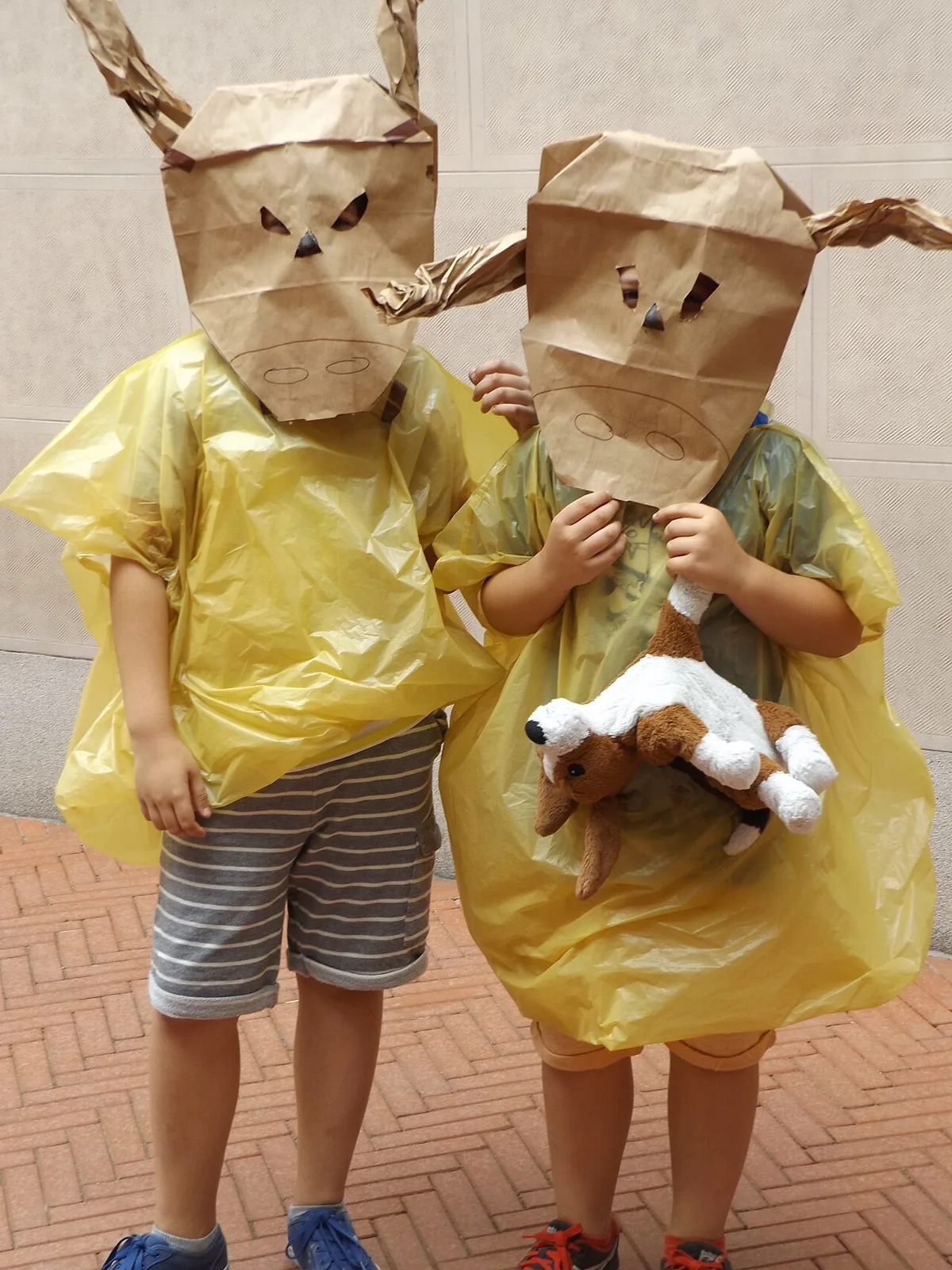 campamento de verano